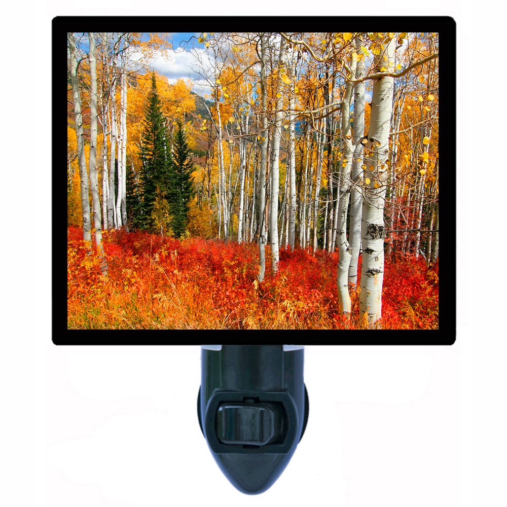 Decorative Photo Night Light, Fall Splendor