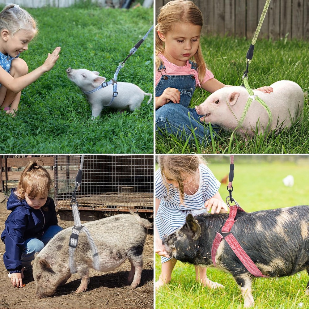 Mini Pig Harness, Adjustable Small Harness with Leash Infinity M, Pink