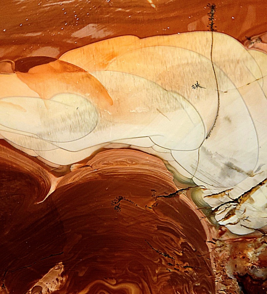 AXECCENTS/HUGE WILLOW CREEK/AGATE/SLAB-AWCJ-8307