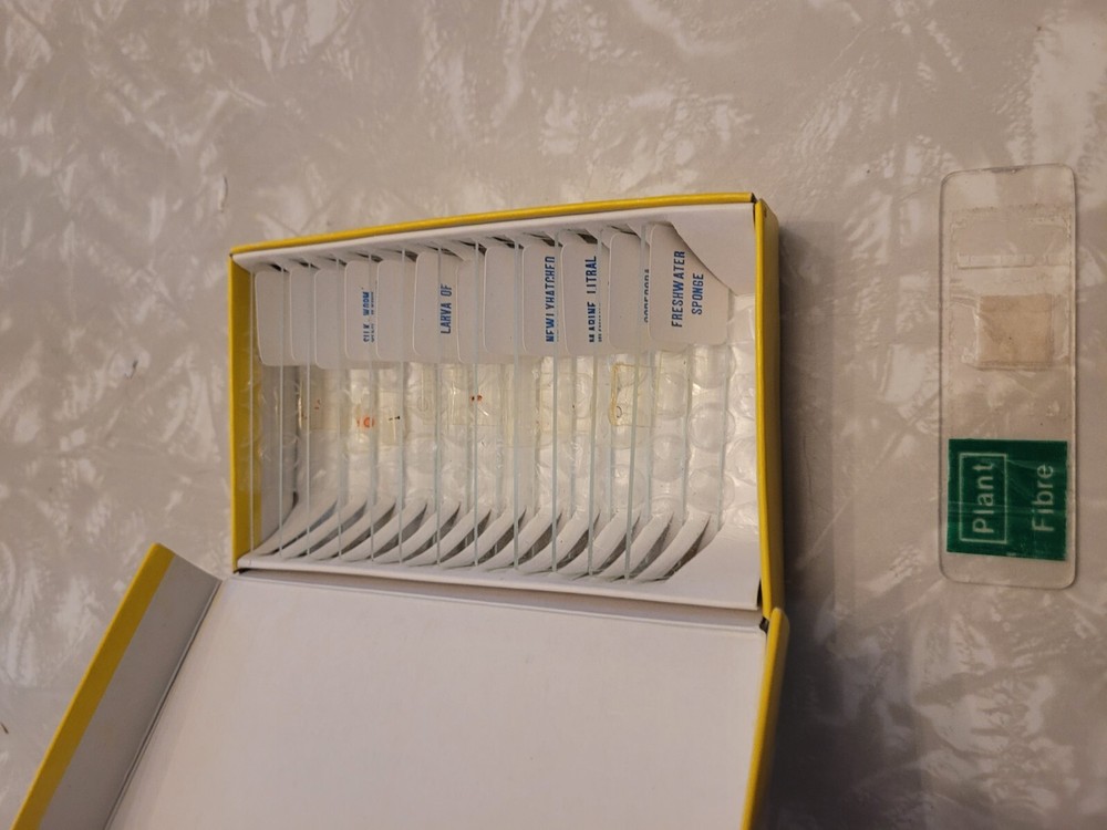 Micro-Science 100x 200x 450x Microscope & 12 Slides Box