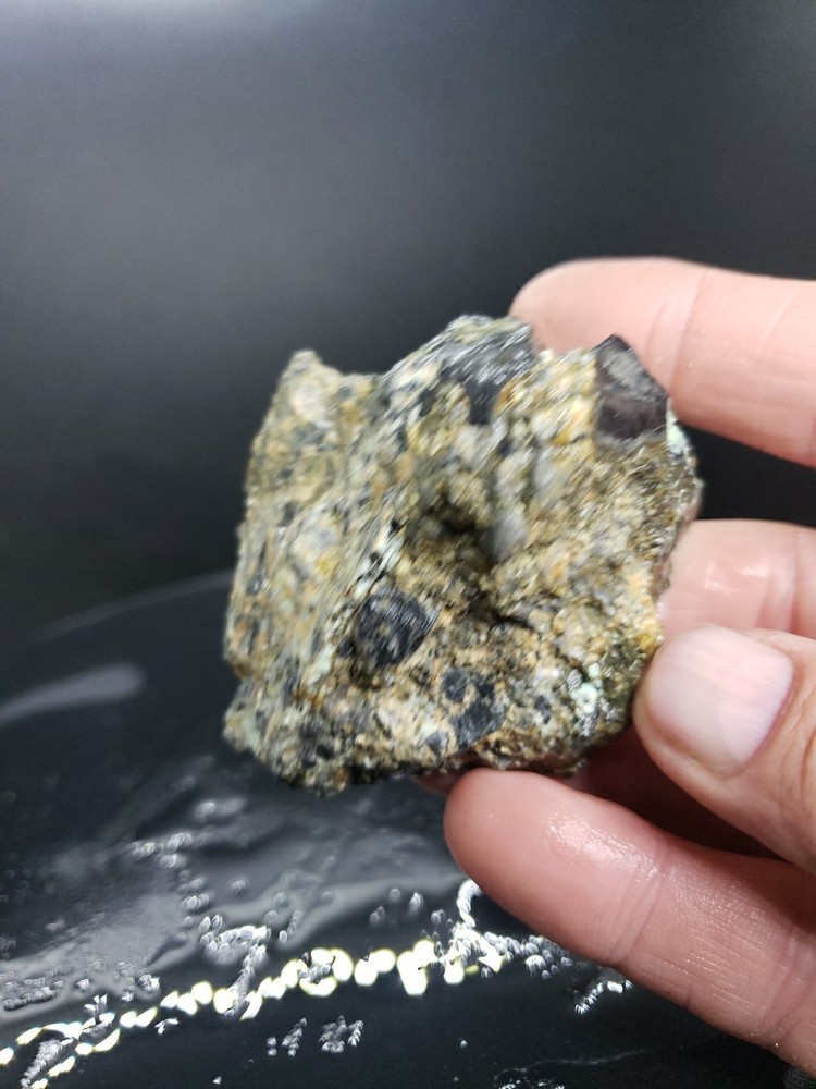 Nevada Gecko Variscite Rough