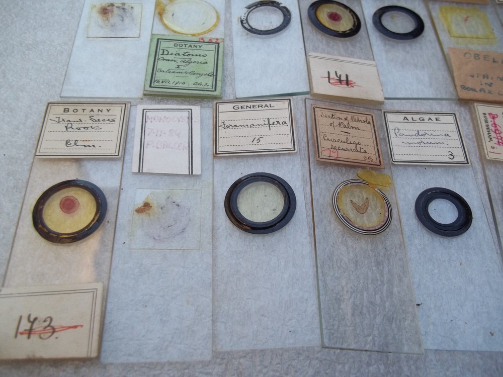 Vintage Glass Microscope Slides - As shown