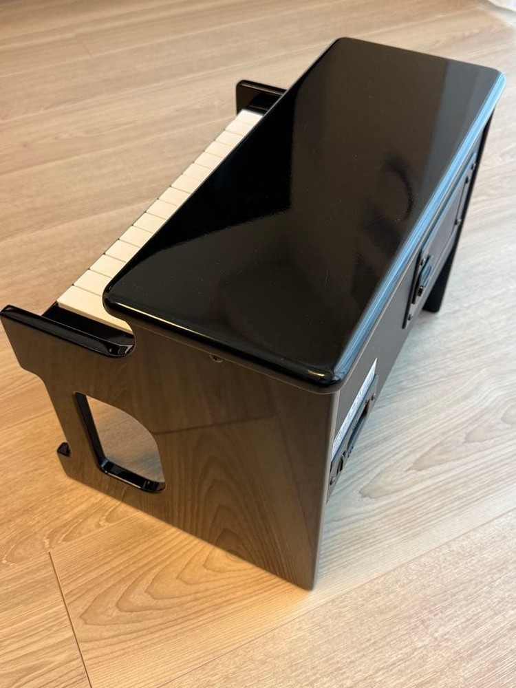 KORG tinyPIANO Black 25-Key Mini Digital Piano Tested Working
