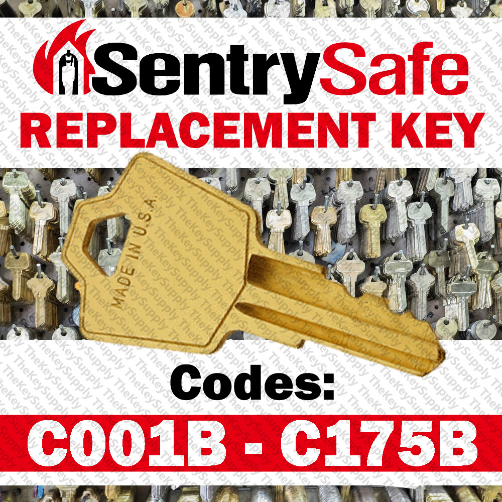 Sentry Safe Replacement Key Cut to Your Code C001B - C175B