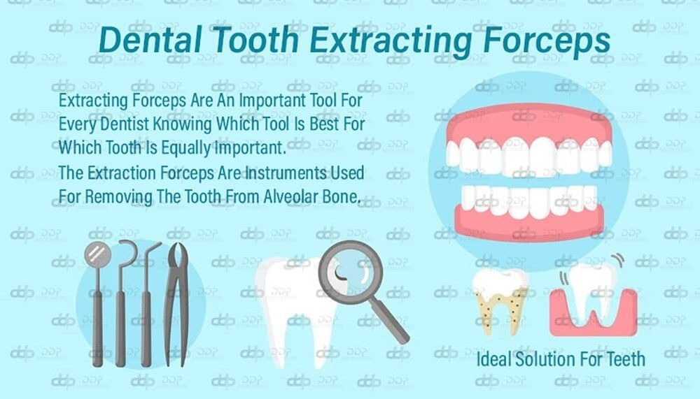 EXTRACTING FORCEPS # 222 DENTAL SURGICAL INSTRUMENTS