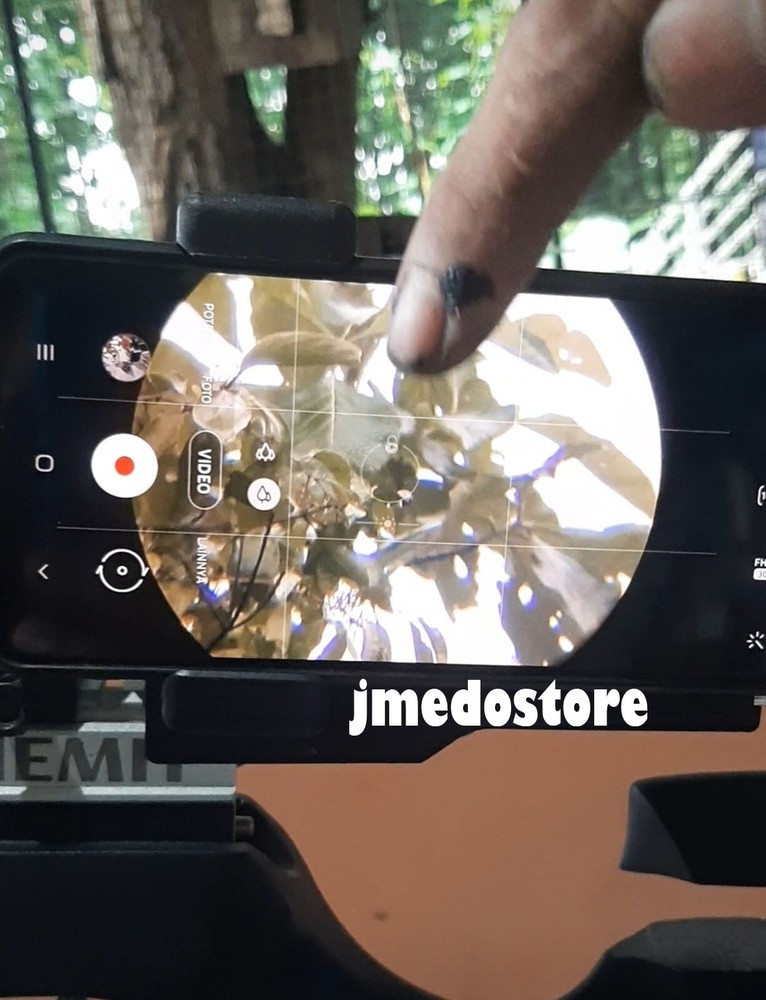 Upgrade Shipping Express