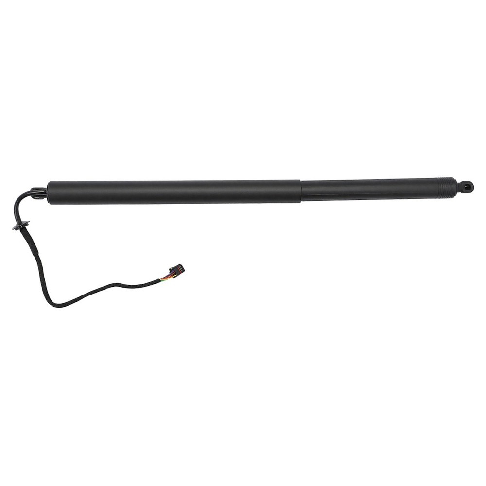 Hatch Lift Support Driver or Passenger Side Right Left Driver/Passenger