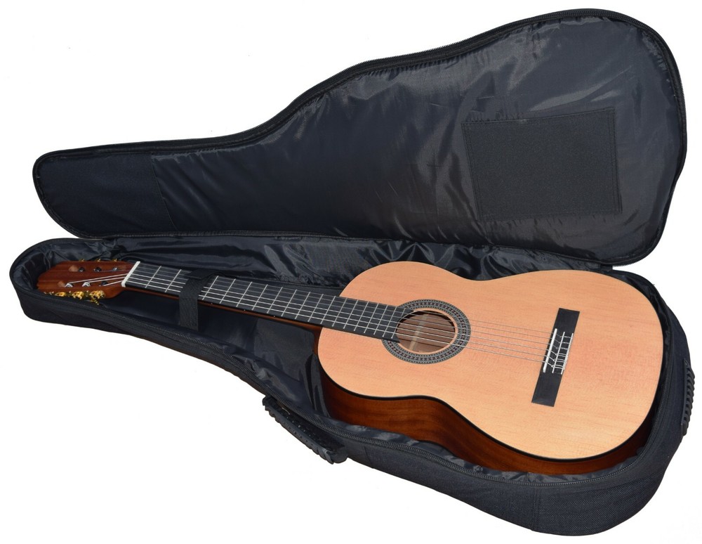 Guitar Nylon Soft Strings/ Spruce Case, Free Ship USA