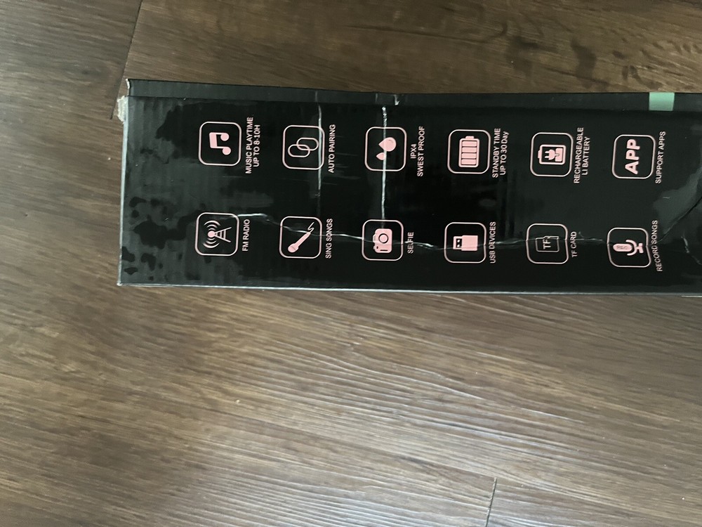 Two Karaoke Microphone