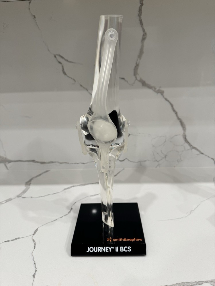 Total Knee Replacement Implant Model
