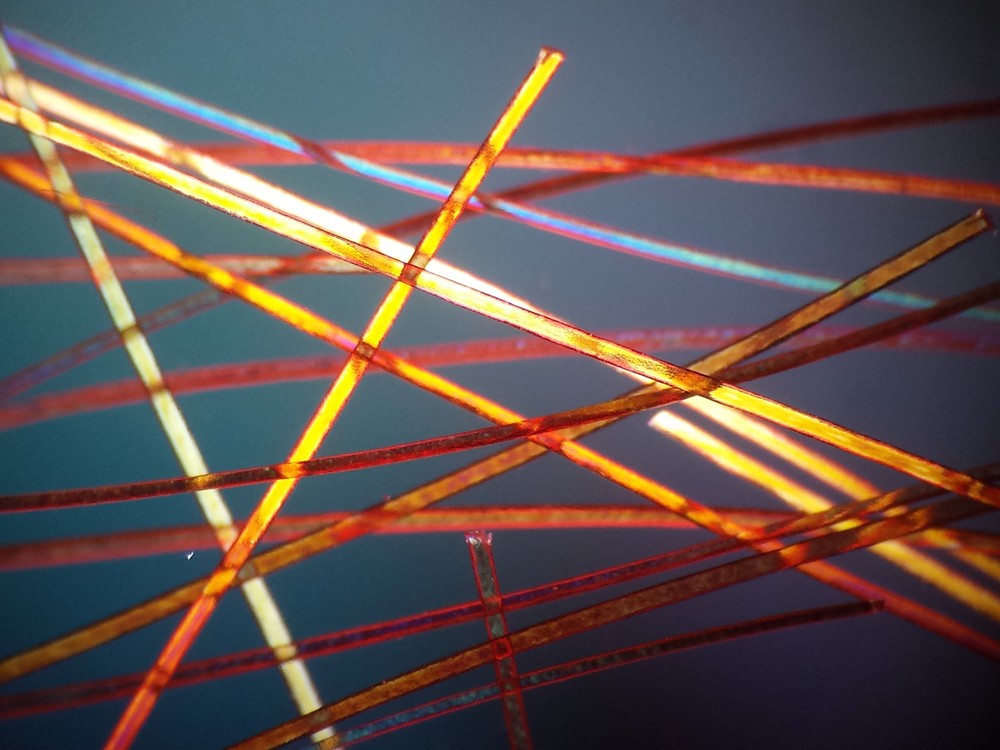 Microscope 32 mm Polarizing Filter Set - Affordable Must Have Accessory Set!