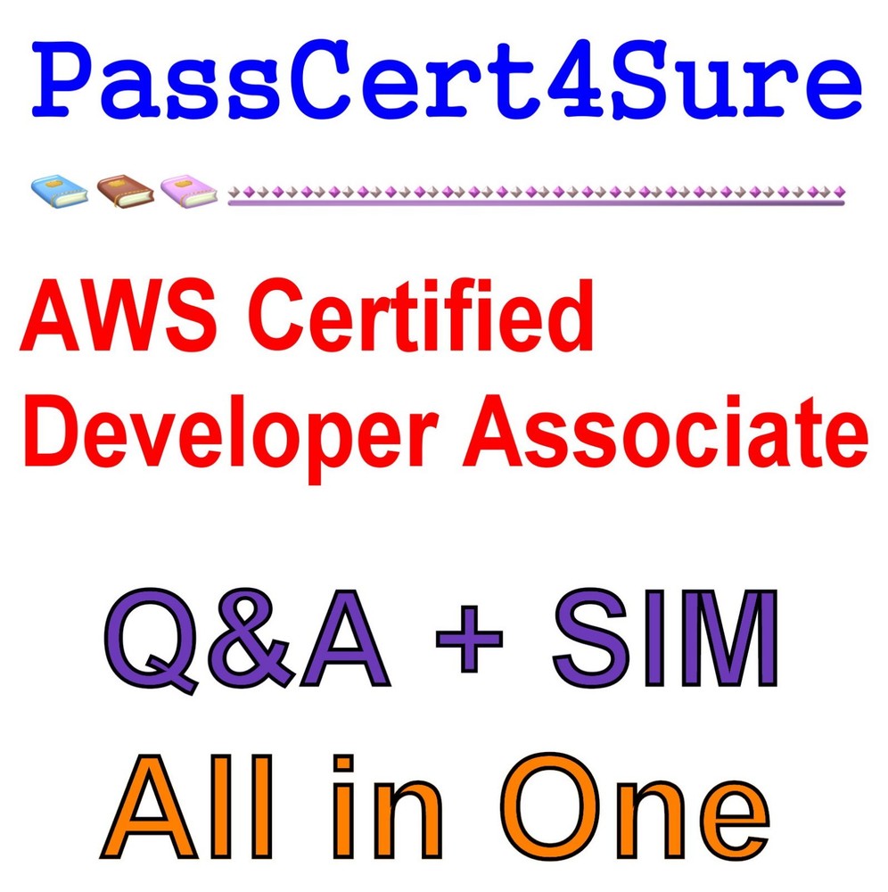 DVA-C02 AWS Certified Developer Associate Exam Q&A+SIM