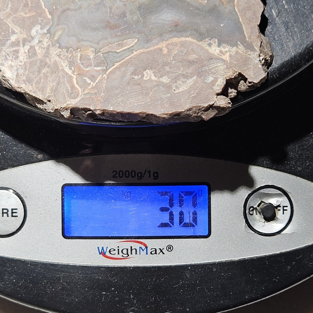 Agate Lapidary Slab 30 Grams Baker Area