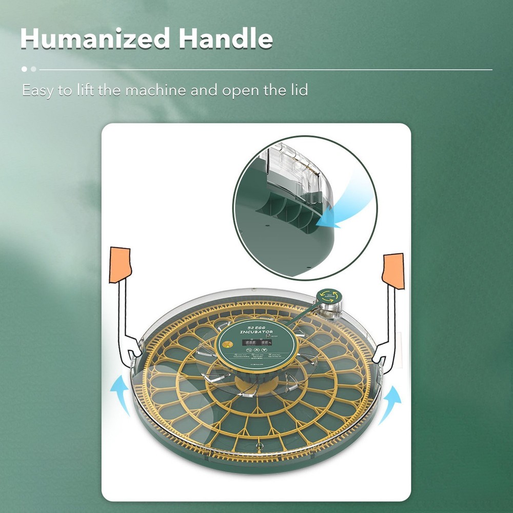 HBN 52 Egg Incubator with Automatic Egg Turning & Temperature Control