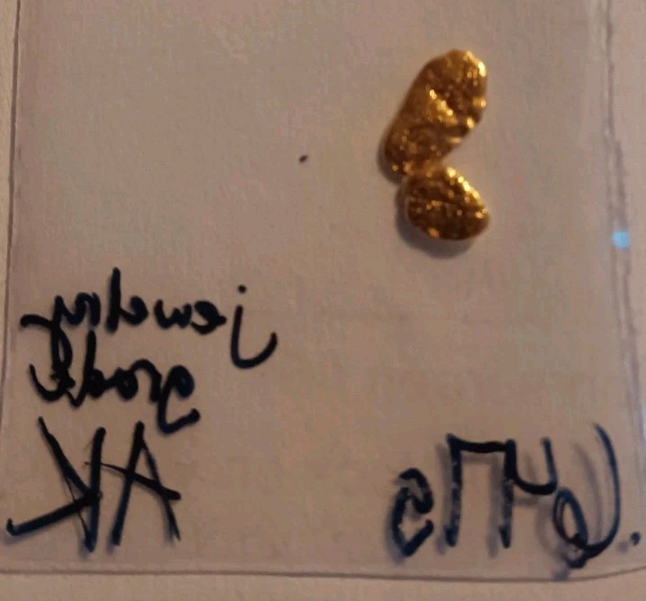 .645 alaskan gold nuggets