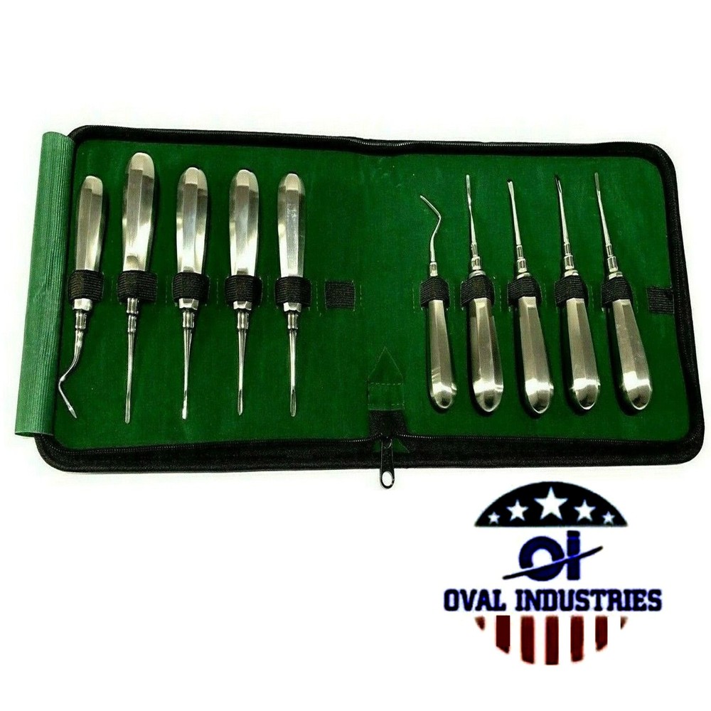 10Pcs Straight CVD Non-Magnet Handle French Points Elevators – Surgical Tools