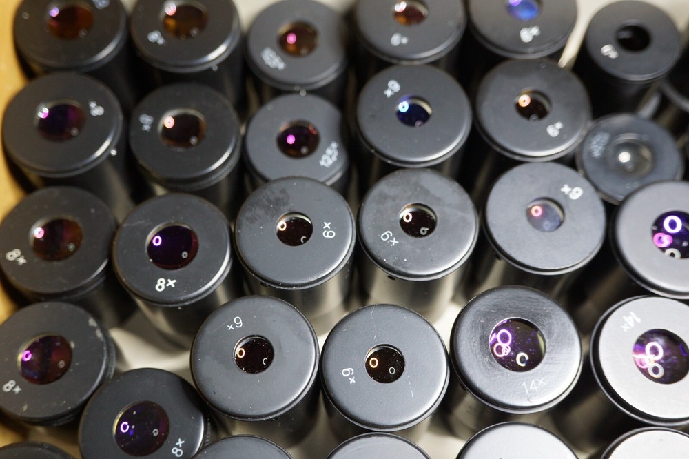Eyepieces vor MBS microscope .