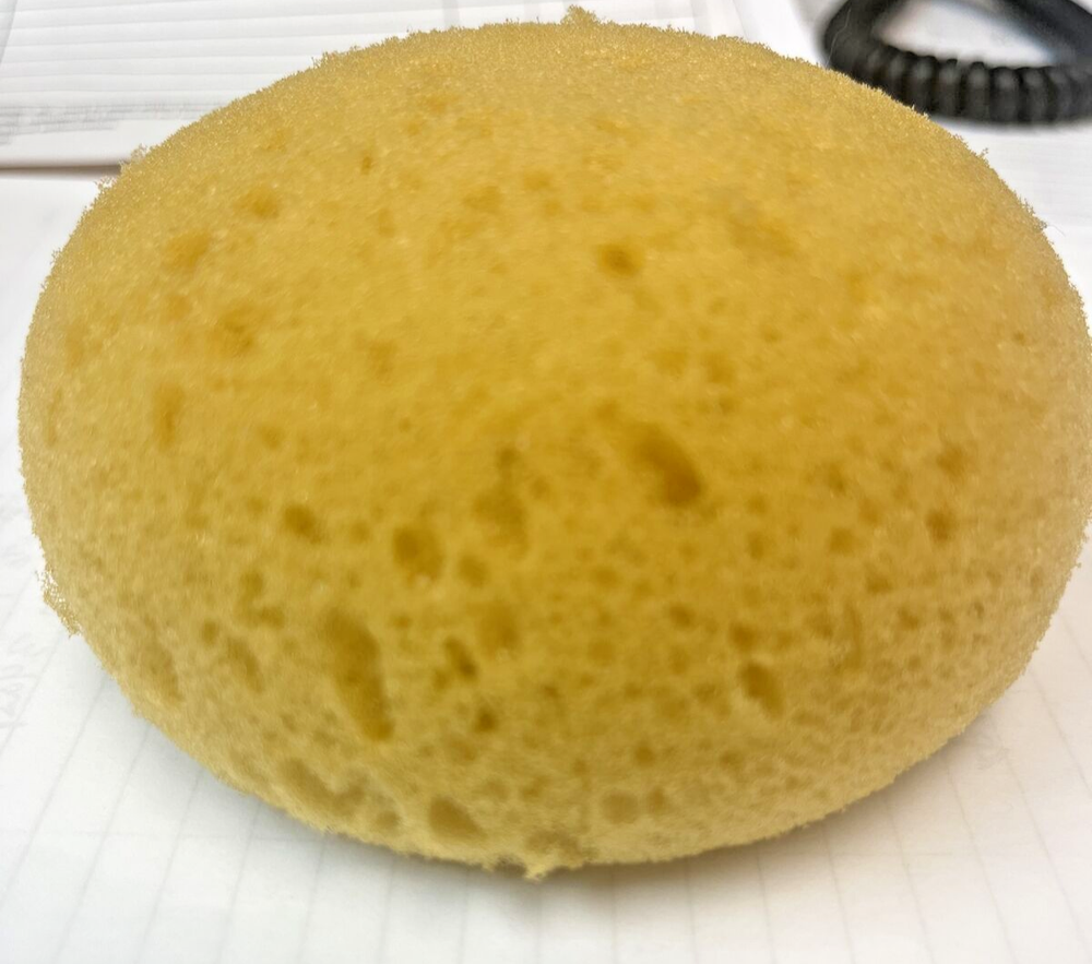 Borghese Fango Sponge large See notes