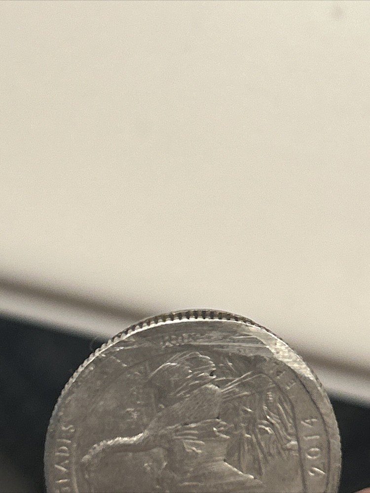 2014-P Quarter Extremely Rare Error
