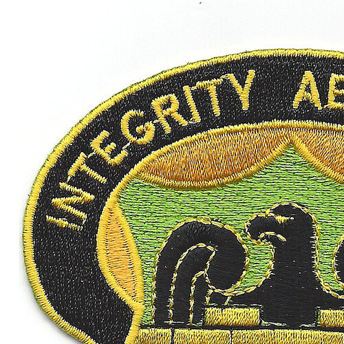 228th Military Police Battalion Patch