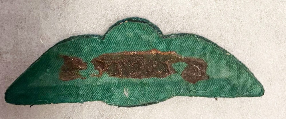 Pakistan Air Force Bullion Radar Operator Wing