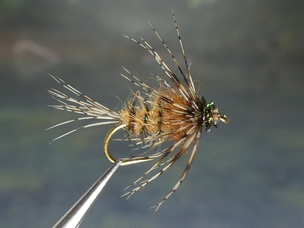 6 Flies - King Nymph