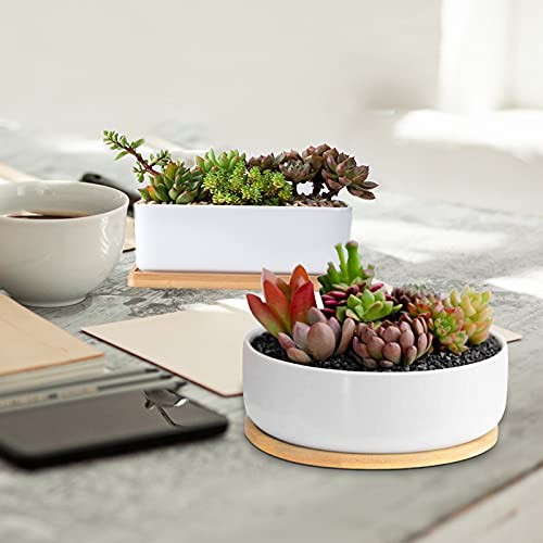 White Ceramic Succulent Plant Pots, 1 Rectangular Flower Pot Rectangular+round