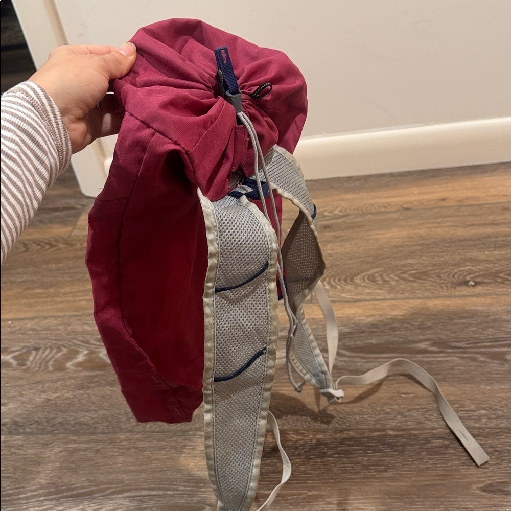 Gregory Pink Day Bag