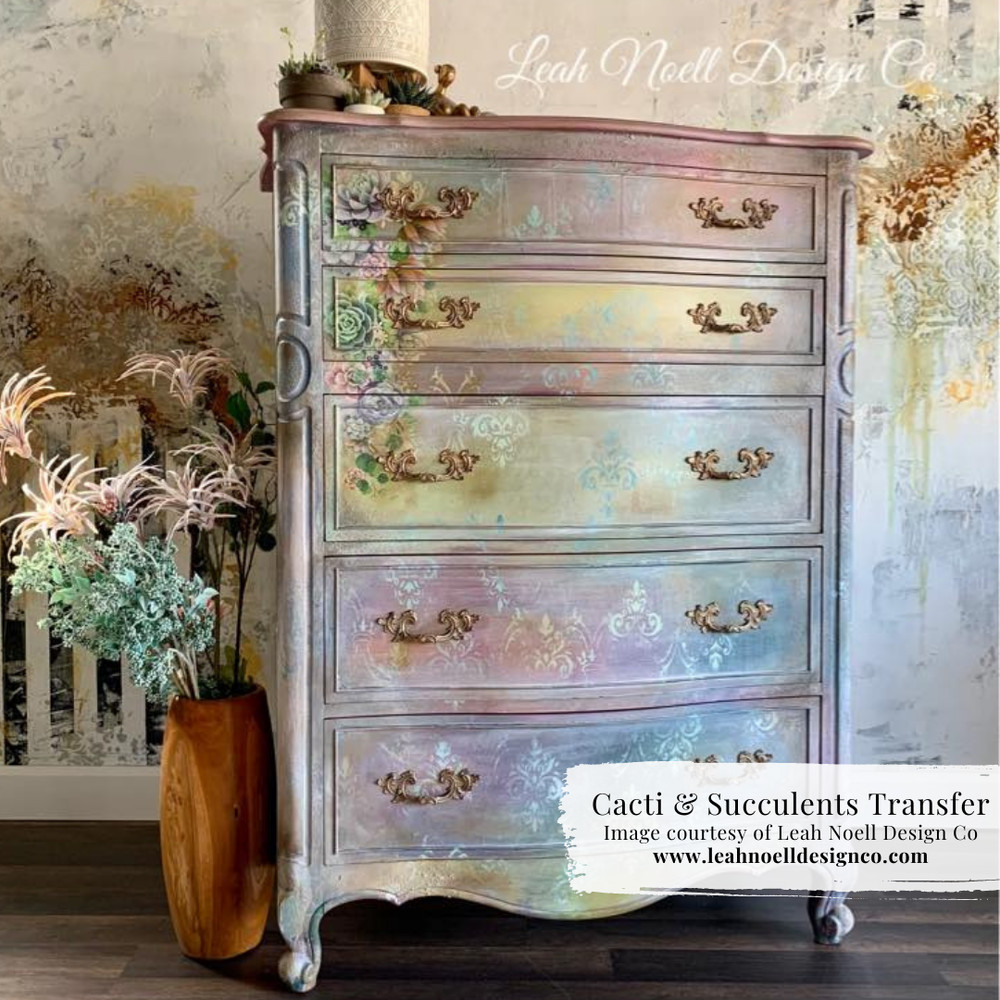 Cacti & Succulents Transfer