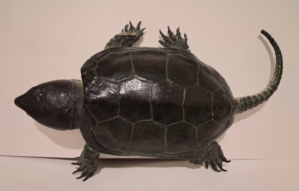 AAA Realistic PVC Big Headed/Snapping Turtle