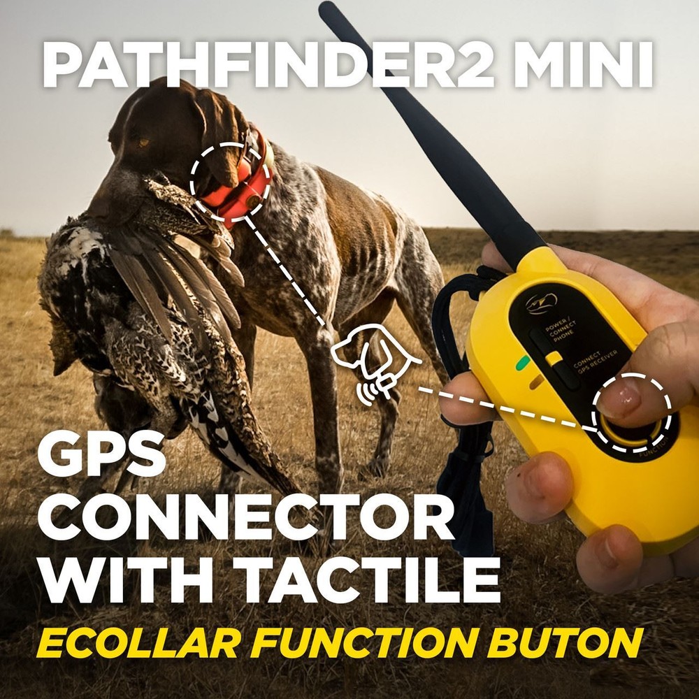 Dogtra PATHFINDER2 MINI GPS Tracking + Training E-Collar SmartPhone Control