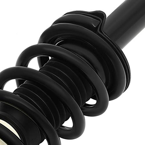 2pcs Rear Pair Complete Strut Assembly Shock Absorber for 2012 2013 2014 2015