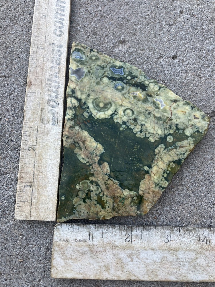 Rainforest Jasper Slab