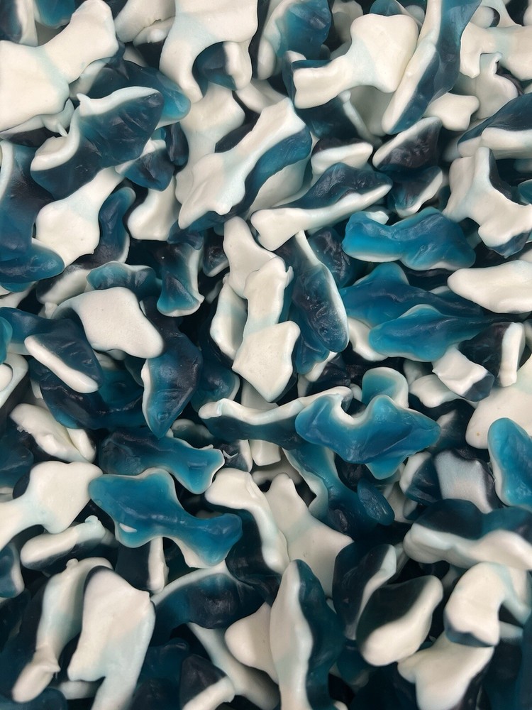 Assorted Gummi Shark Candy Bulk Candy Pick Your Weight - Fresh