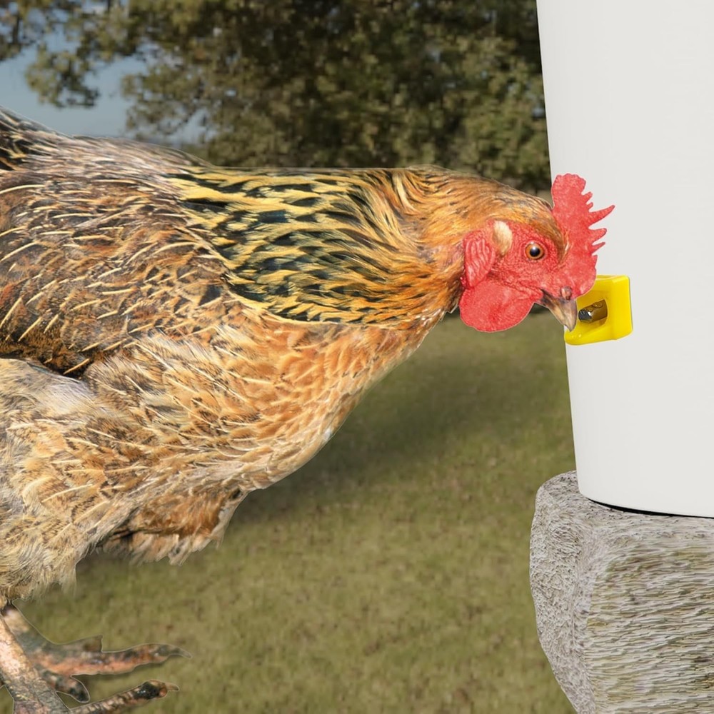 15x Chicken Nipple with Drill Bit Automatic Waterer Poultry Drinker Hen Drinking