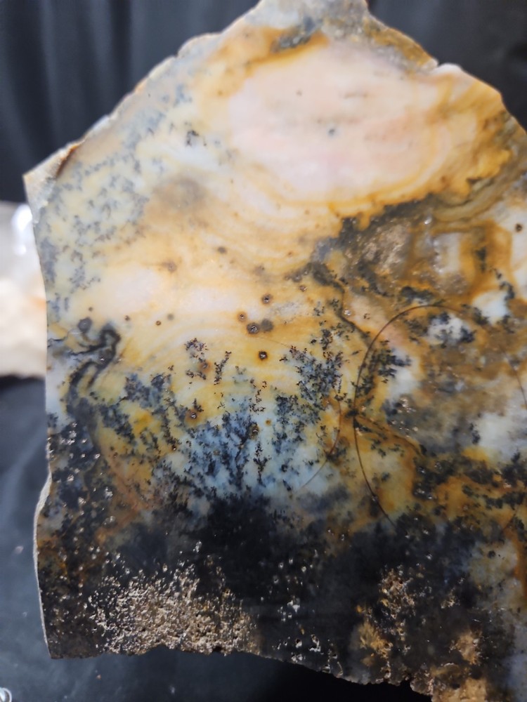 Dendric Slab Specimen (7oz)