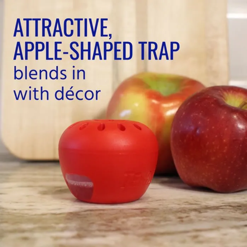TERRO® Fruit Fly Trap, 2pk