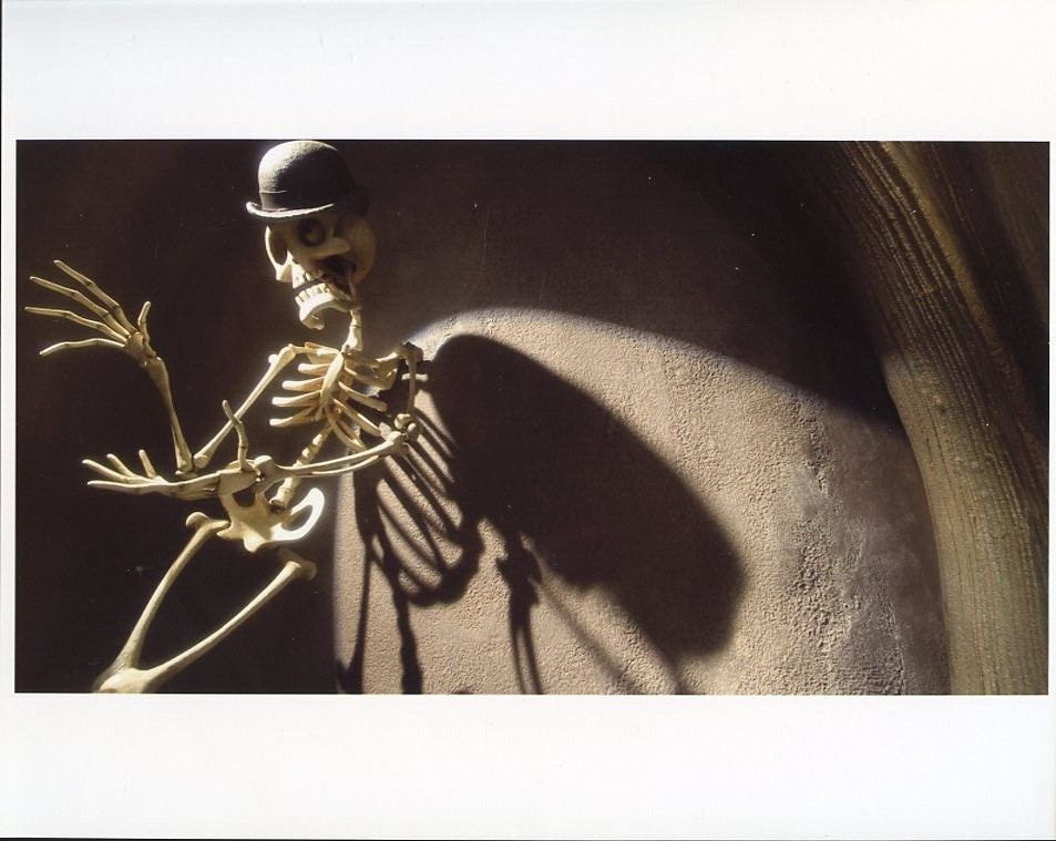 TIM BURTON'S CORPSE BRIDE  8X10 PHOTO  #5692