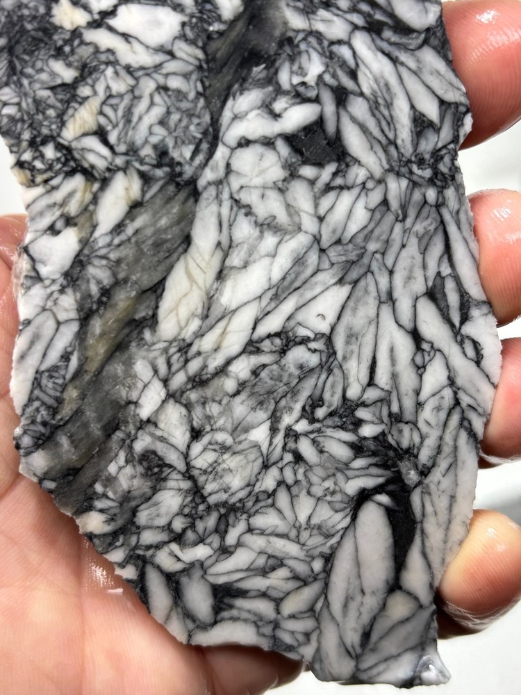 Rare Pinolith Slab Austria Cabbing Lapidary Combo Ship Avail