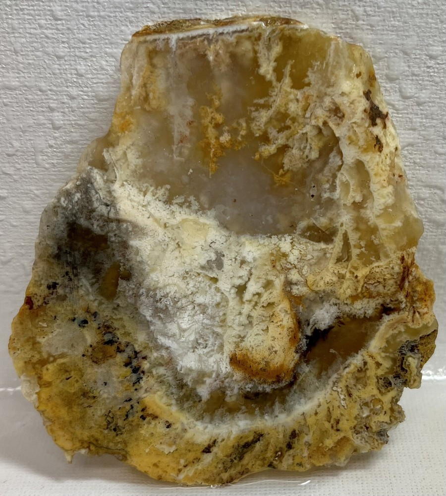 Graveyard Point Plume Agate 87gm Gem Lapidary Slab