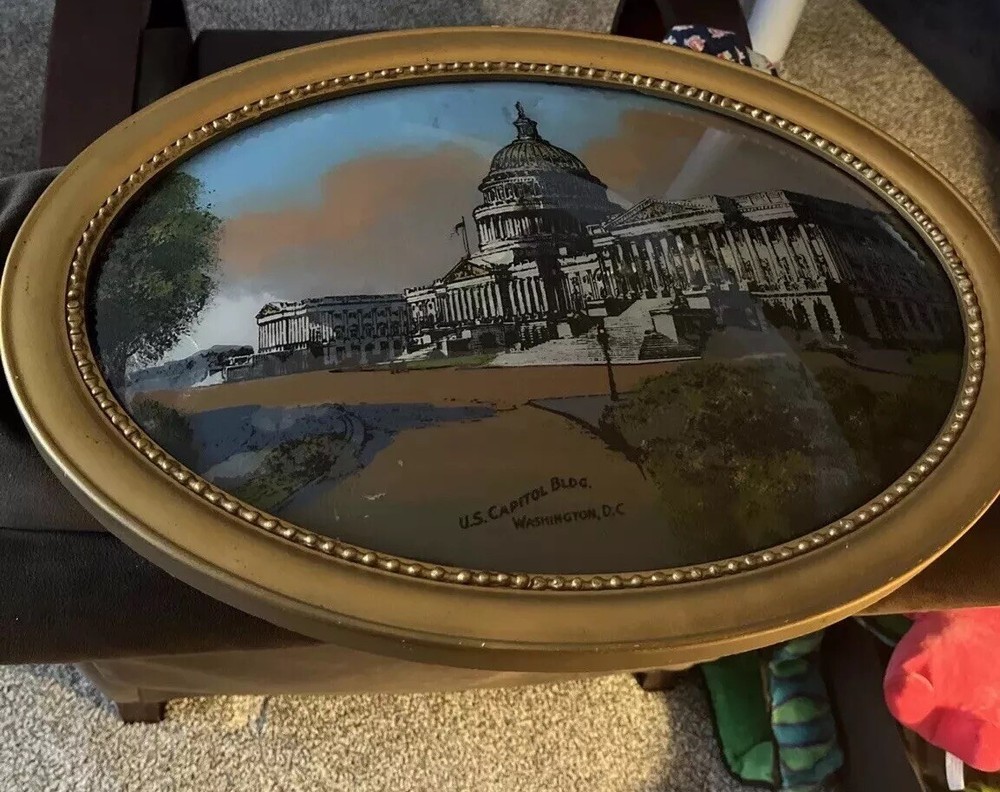 US Capitol “Bubble Glass” Picture