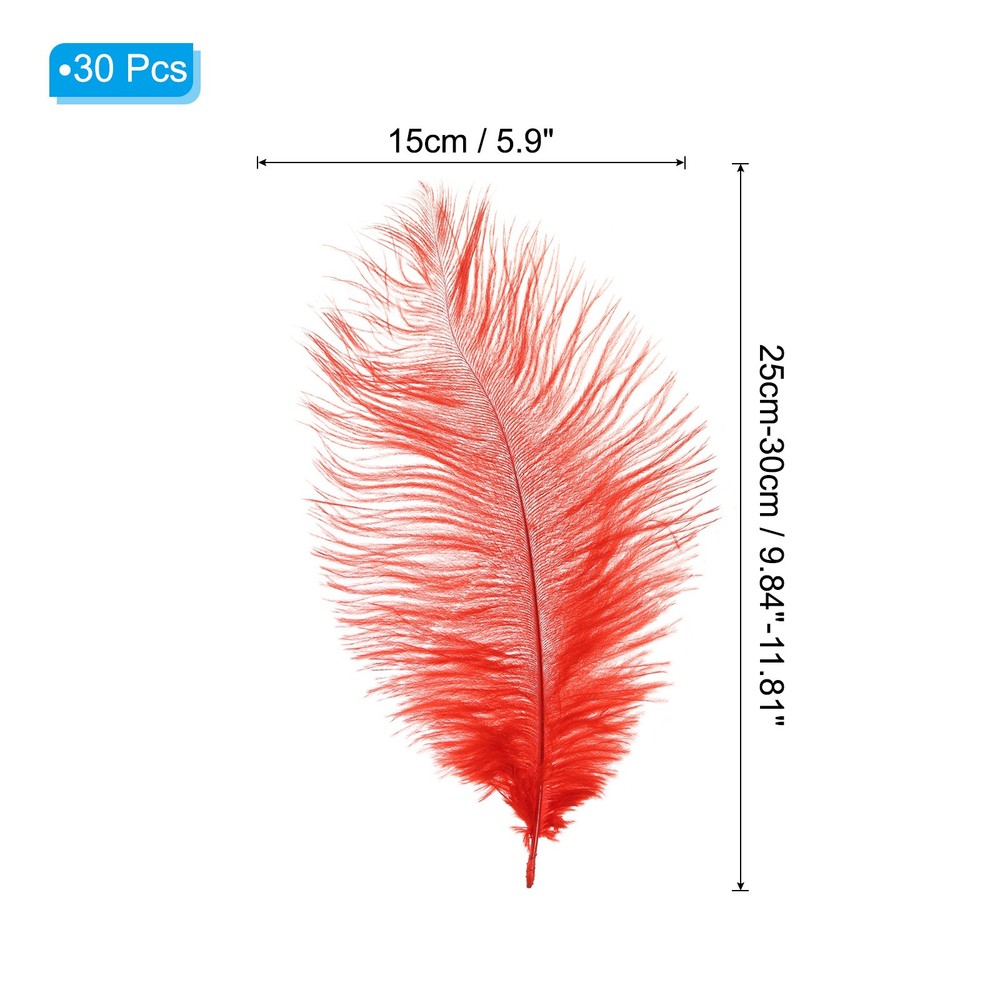 30Pcs 8-10Inch Feathers Artificial Feathers Natural Red (6inch Width)