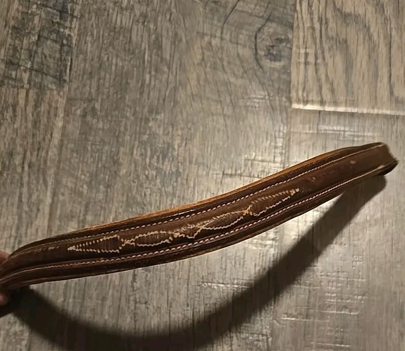 browband horse