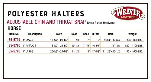 Rainbow Pattern Polyester Horse Halter Durable Comfortable Brass Hardware 80 ...