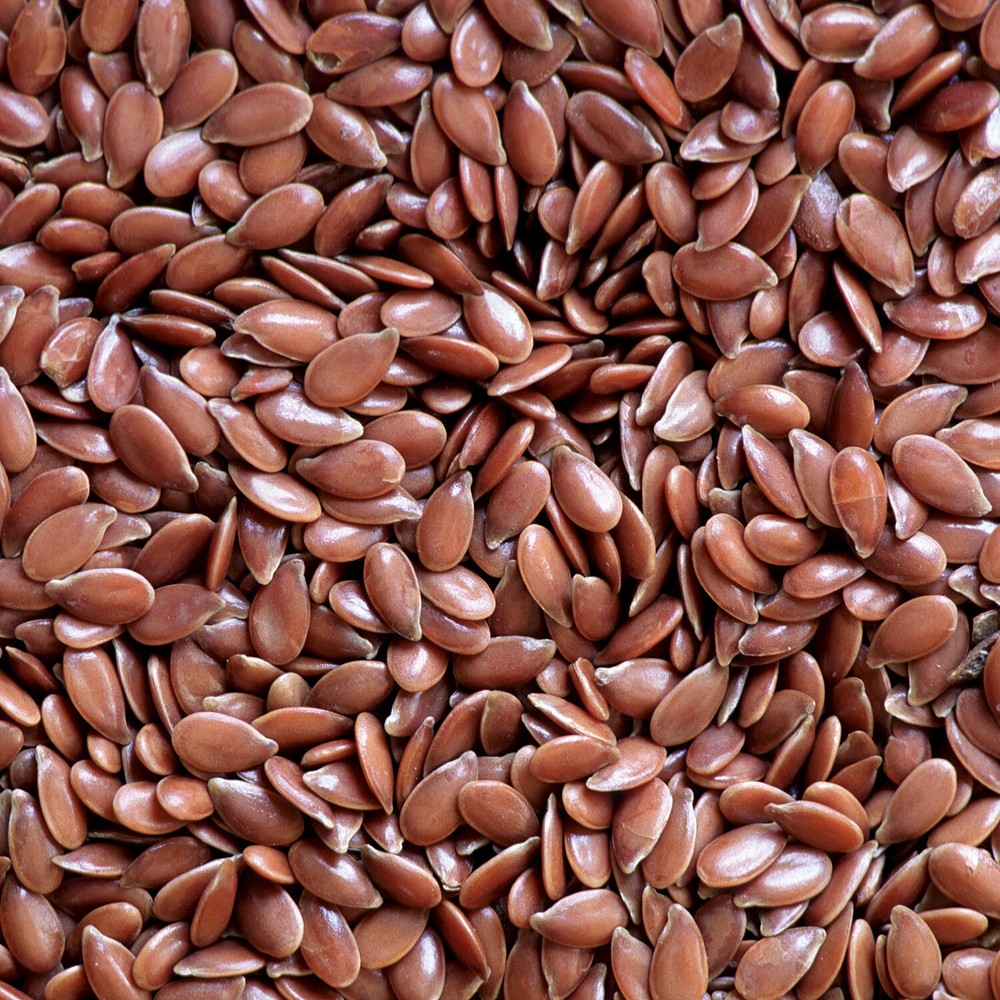 Bulk Flax Seeds 10 Pound Wholesale Value Box