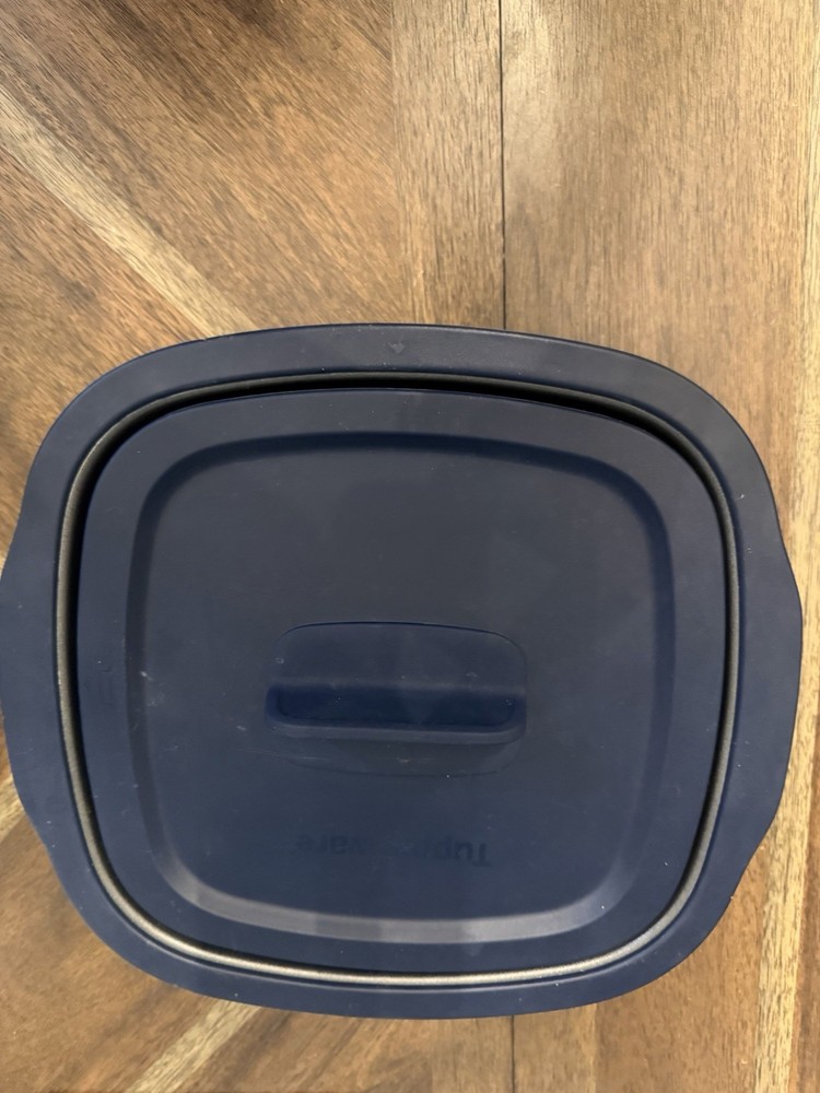 Tupperware MicroPro Grill Silicone Pro Ring for Microwave