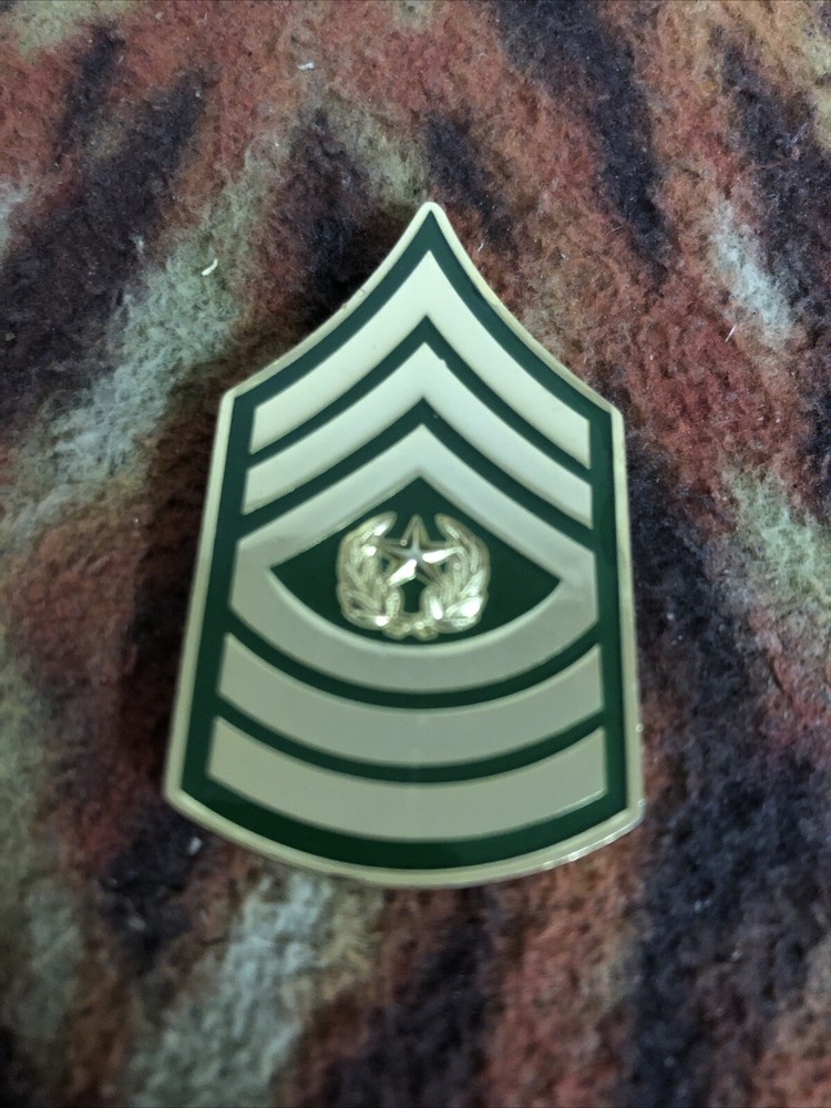 Command Sergeant Major Coin NCOs Lead The Way Excellence  Leadership E 9