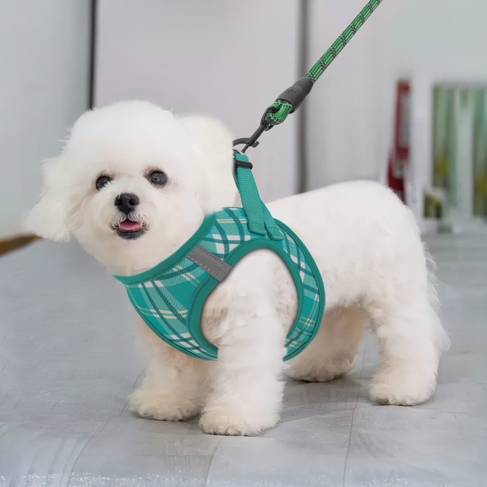 Dog Pet Harness Adjustable Control Reflective Jacket Breathable Mesh & Leash Set