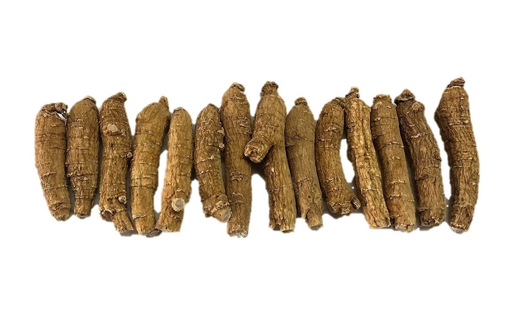 Hand-selected A Grade American Ginseng Root Small Thin Short Size (4 Oz. Box)