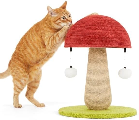 EveryYay by Petco Toadstool Scratch Post for Cats